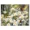 Designart - Daisies Flowers Under the Window - Floral Art Canvas Print